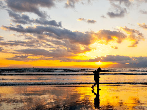 Sobre depender o ser independiente y alto rendimiento