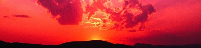 Preparando las "temidas" vacaciones