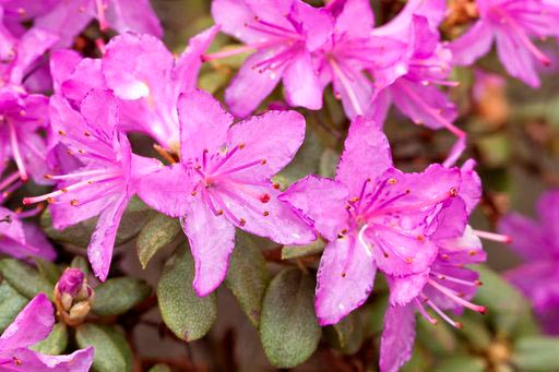 ¿Te sientes bienvenido?