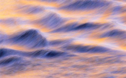 ¿Qué hubieras hecho tu en este experimento?