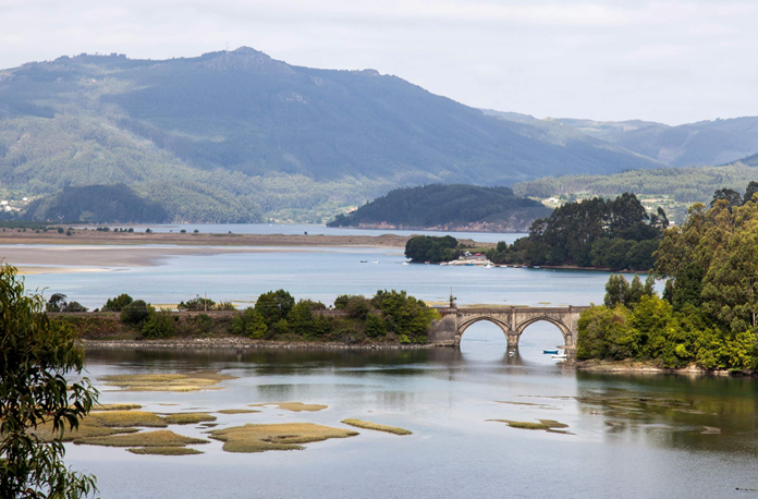 El puente de la vida 