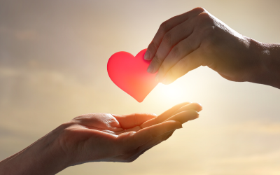 Linda mía, lindo mío. El amor es la base de la vida